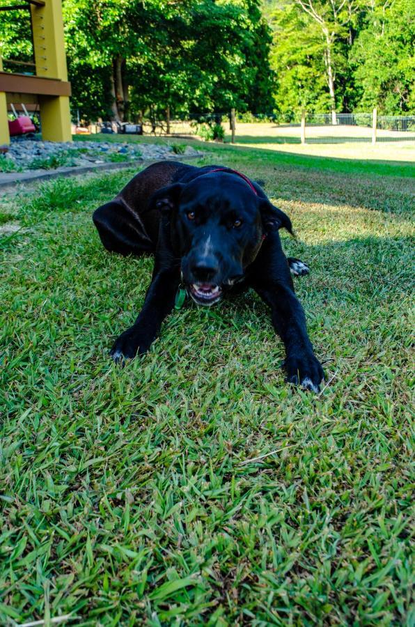 Cairns Homestead Redlynch Pet And Family Friendly Exterior photo